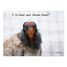 Briefkaart gier wenskaarten