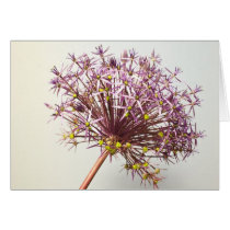 Bright Ali Greeting Cards