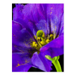 Bright and Beautiful Post Cards