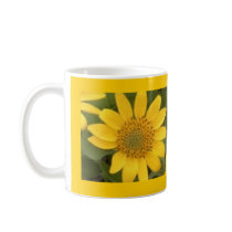 Bright Balsam Root Mug