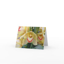 Bright Beards Greeting Cards