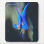 Bright-blue-angel fish, mousepad