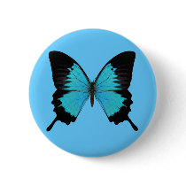 Bright Blue & Black Butterfly Original Colours