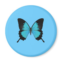 Bright Blue & Black Butterfly Original Colours