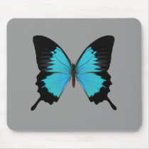 Bright Blue & Black Butterfly Original Colours