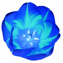 Bright Blue Tulip Photo Sculpture