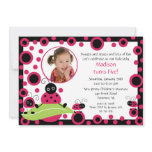 Ladybugs