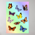 Bright Butterflies posters