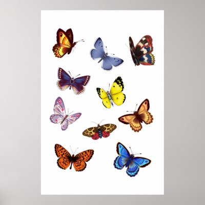 Bright Butterflies Print by Lidusik