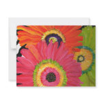 Bright & Colourful Gerbera Daisies invitations