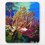 Bright Coral mousepads