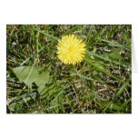 Bright Dandelion card