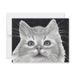 BRIGHT-EYED CAT IN PENCIL: ART invitations