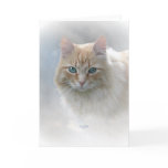 Bright Eyes cat greeting card