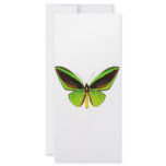 Bright Green Butterfly rack cards
