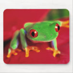 Bright Green Frog Mouse Mat mousepads