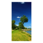Bright Green Trees by the Lake photo cards
