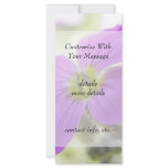 Bright Magenta Rock Cress Flower