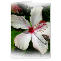 BRIGHT NATURE OF BEAUTY CARDS