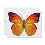 Bright Orange Butterfly invitations
