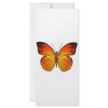 Bright Orange Butterfly rack cards