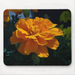 Bright Orange Marigold mousepads