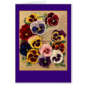 Bright Pansies Seed Packet Art on Cards