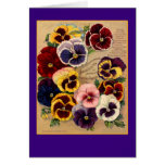 Bright Pansies Seed Packet Art on Cards