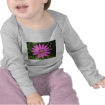 Bright pink African daisy Tshirts