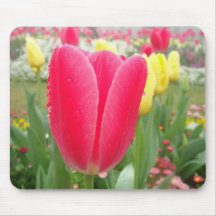 Bright Pink and Yellow Tulip Garden Mousepad