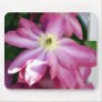 Bright Pink Clematis