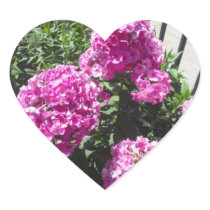 Bright Pink Hydrangea Heart Sticker