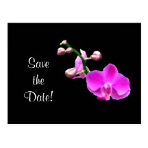Bright Pink  Orchids Save the Date Announcement Post Card