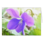 Bright Purple Violet Greeting Cards