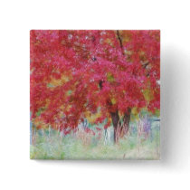 Bright Red Autumn Maple Leaves In The Meadow