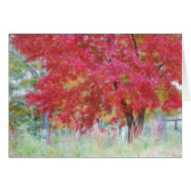 Bright Red Autumn Maple Leaves In The Meadow