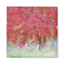 Bright Red Autumn Maple Leaves In The Meadow