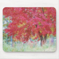 Bright Red Autumn Maple Leaves In The Meadow
