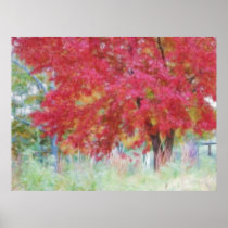 Bright Red Autumn Maple Leaves In The Meadow