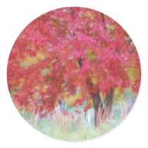 Bright Red Autumn Maple Leaves In The Meadow