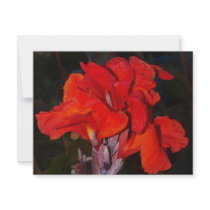 Bright Red Canna Lily Custom Invitations