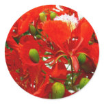 Bright Red Flowers Sticker