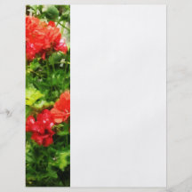 Bright Red Geraniums Custom Flyer