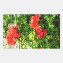 Bright Red Geraniums Sticker