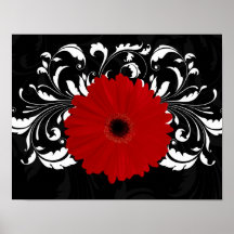 Bright Red Gerbera Daisy on Black Posters