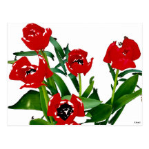 Bright Red Tulips Postcard