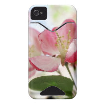 Bright Spring Apple Blossoms