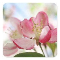 Bright Spring Apple Blossoms Square Sticker