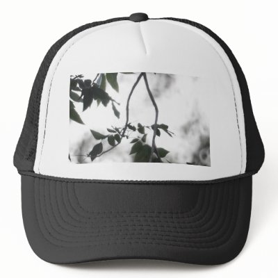 Bright Summer Branches Hat