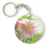 Bright Sunshine On Hellebore Flowers keychains